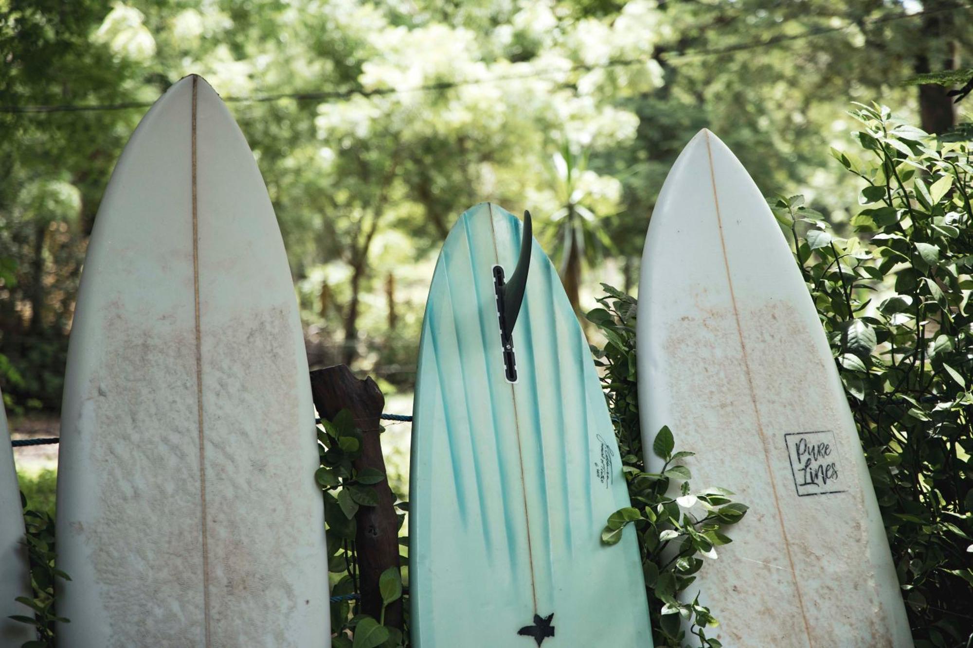 Mola Mola Surf Popoyo Bed & Breakfast ภายนอก รูปภาพ