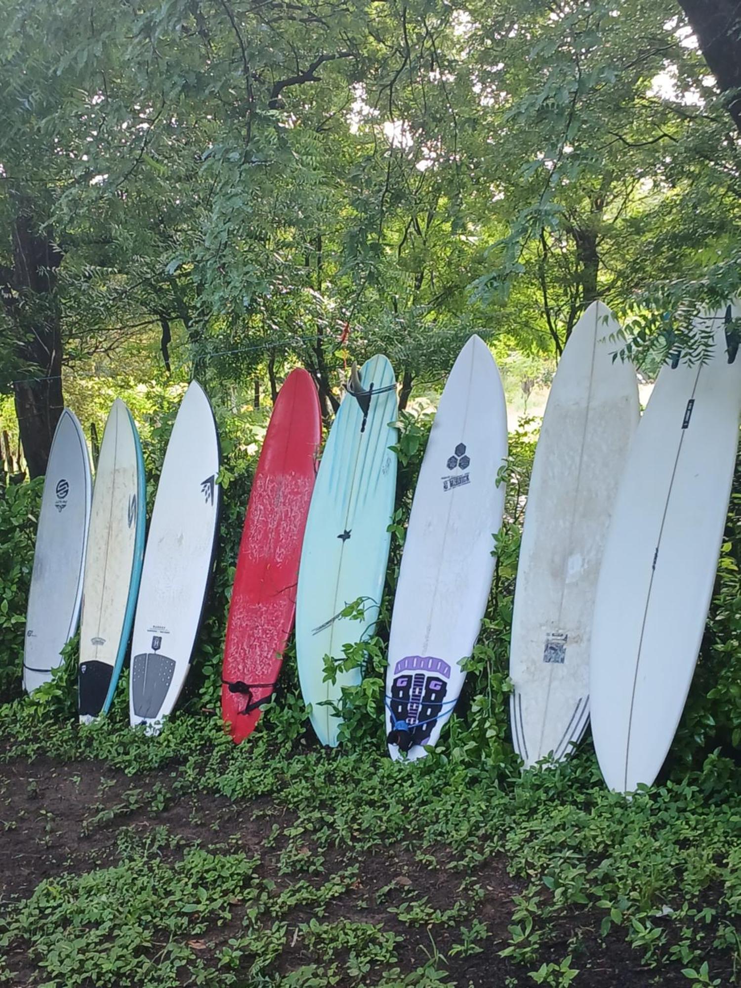 Mola Mola Surf Popoyo Bed & Breakfast ภายนอก รูปภาพ