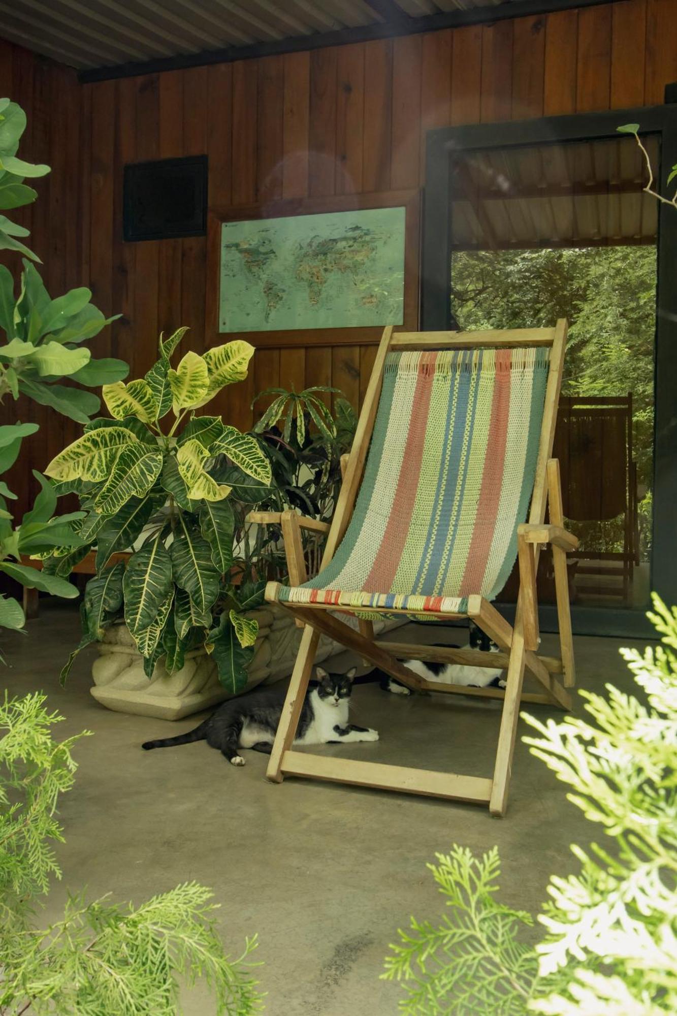 Mola Mola Surf Popoyo Bed & Breakfast ภายนอก รูปภาพ