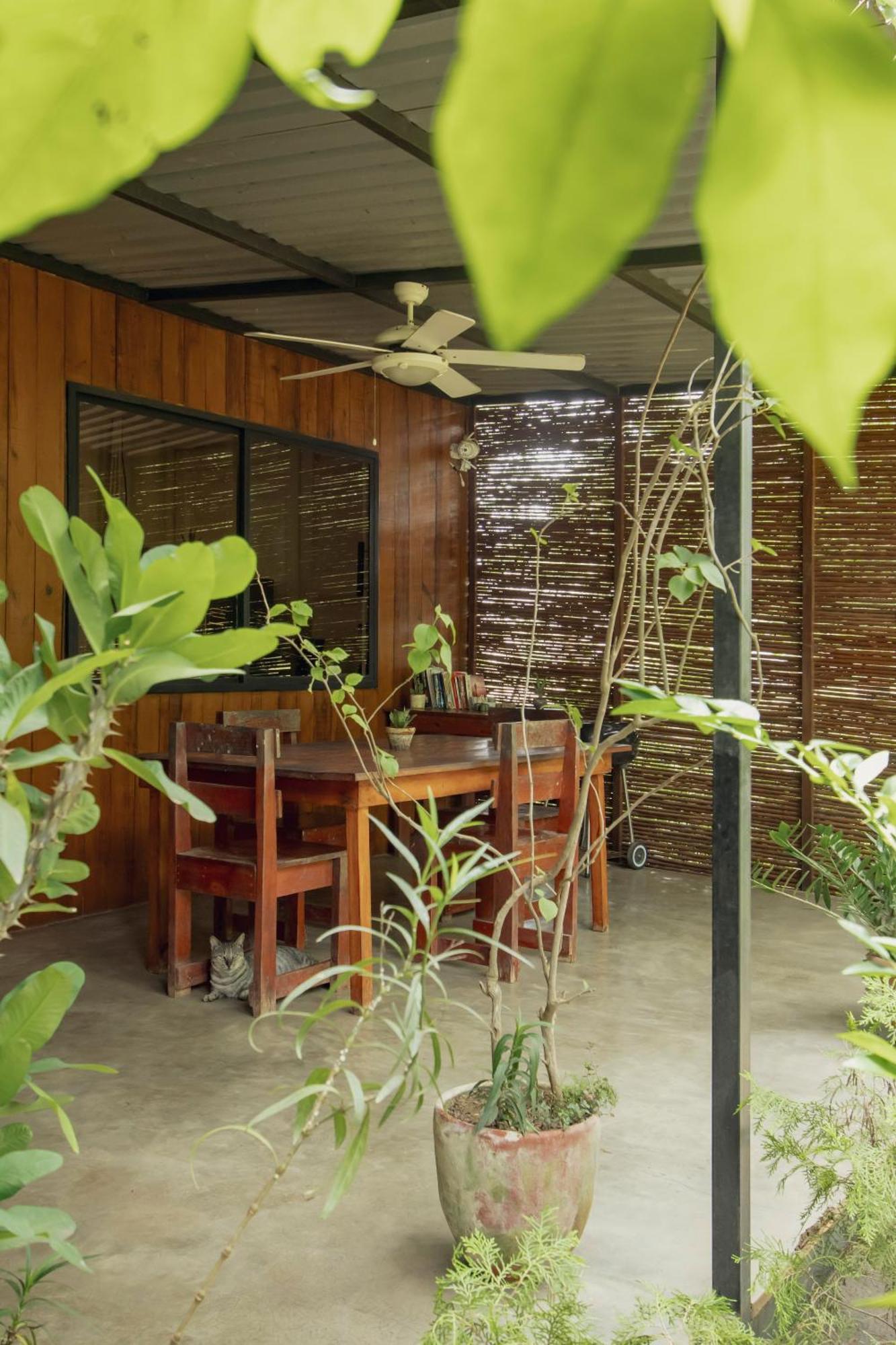 Mola Mola Surf Popoyo Bed & Breakfast ภายนอก รูปภาพ