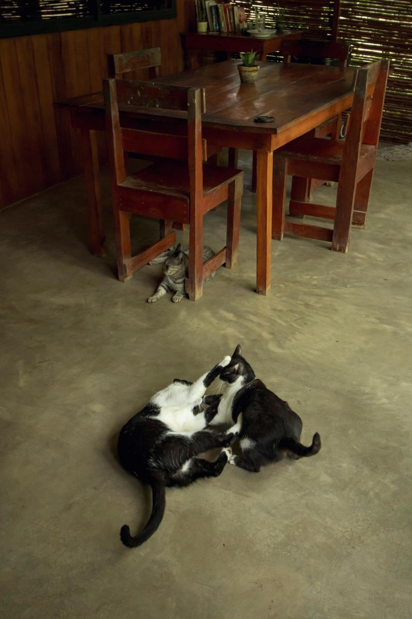 Mola Mola Surf Popoyo Bed & Breakfast ภายนอก รูปภาพ